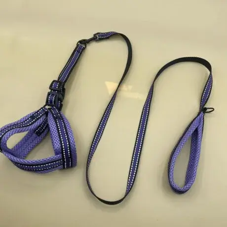 1699615567488-460x460 (1).webp