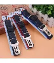dogbelt3-460x539.webp