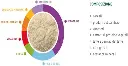 51ItAu26NAL._AC_SX679_.webp