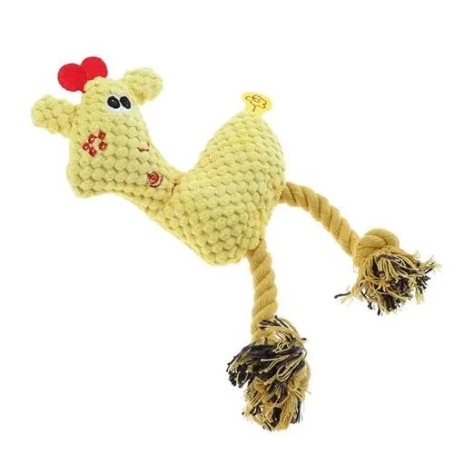 51601svh0FL._SX522_ (1).webp