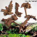 Aqualife Small Red Sunken Wood.webp