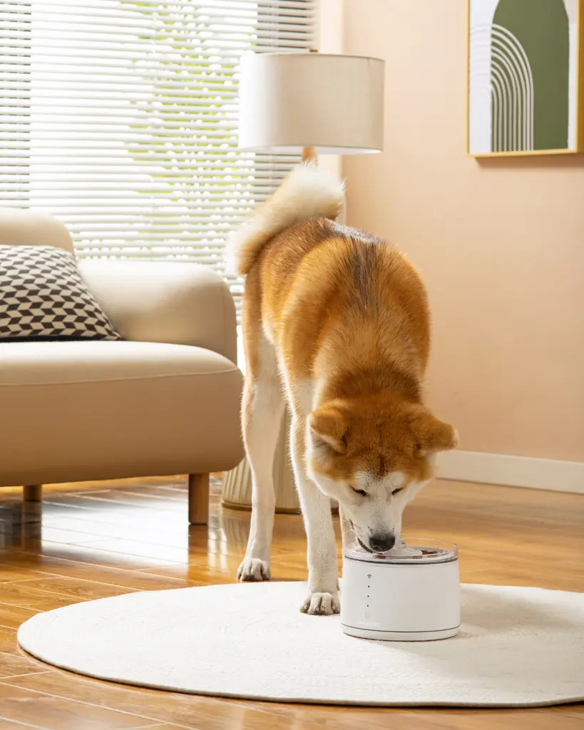 Dogness Smart Water Feeder For Pets (App Controlled)-White.webp