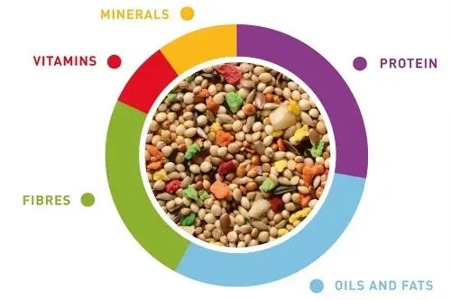 8001254001845 (1).webp