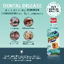 Synergy Labs Dental Fresh Original Formula- Dog & Cat 1-2 gallon - 1.89 L (2).webp