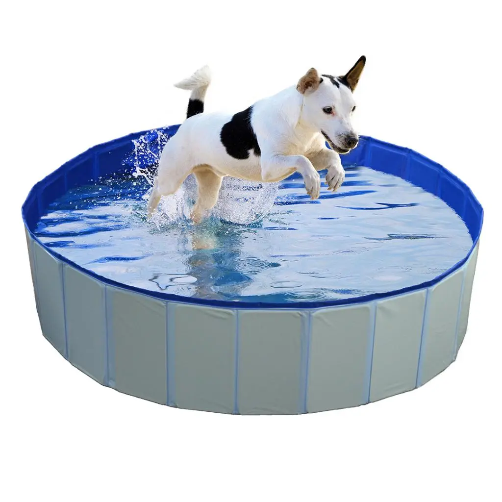 Duvo+ Dog Pool Blue[Diameter - 120x30cm].webp