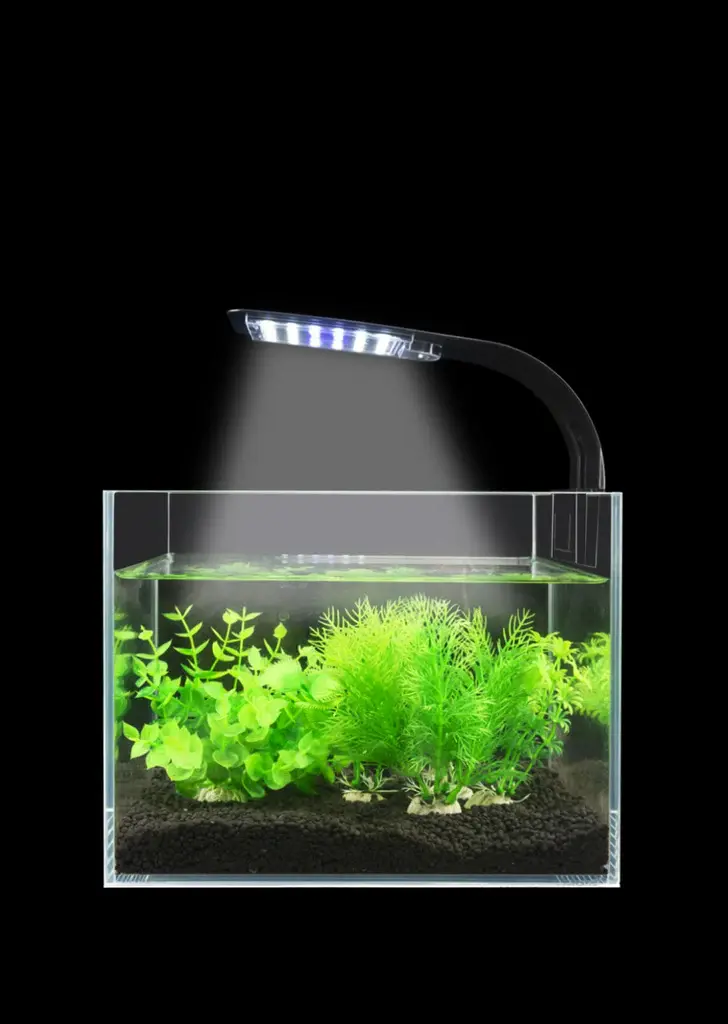 roxin-led-10w-5_1024x1024.webp