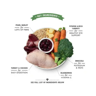 unnamed_0704145d-da40-4db6-9d5c-08784662549e (1).webp