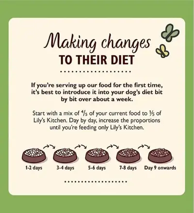 unnamed_dacbb991-0c58-4e6b-9f0e-398ddfcff479 (1).webp