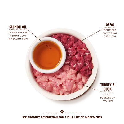 CCP-3.webp