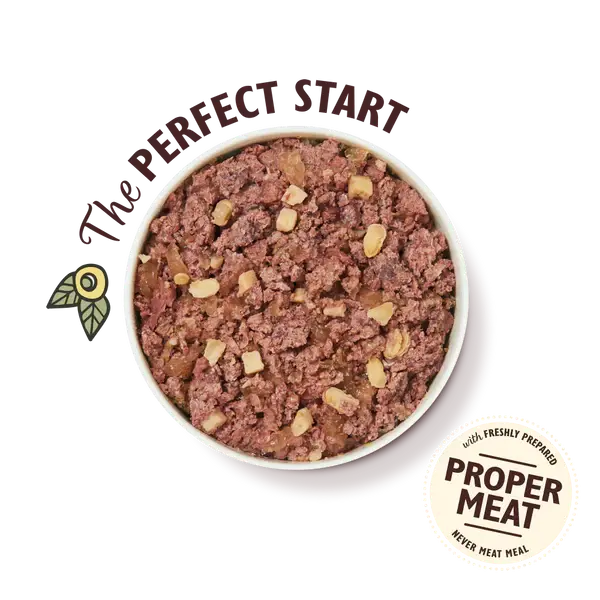 DGBB-3_ae250439-c6de-4c28-b641-289e42848ef5 (1).webp