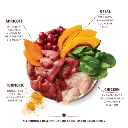 DCOT-2.webp