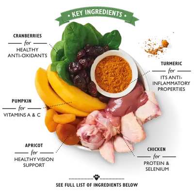 Lily_s_Kitchen_Coronation_Chicken_Wet_Dog_Food.webp