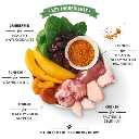 Lily_s_Kitchen_Coronation_Chicken_Wet_Dog_Food.webp