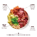 DGBB-2.webp