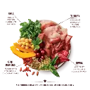 DLMT-2.webp