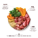 DLTT-2.webp