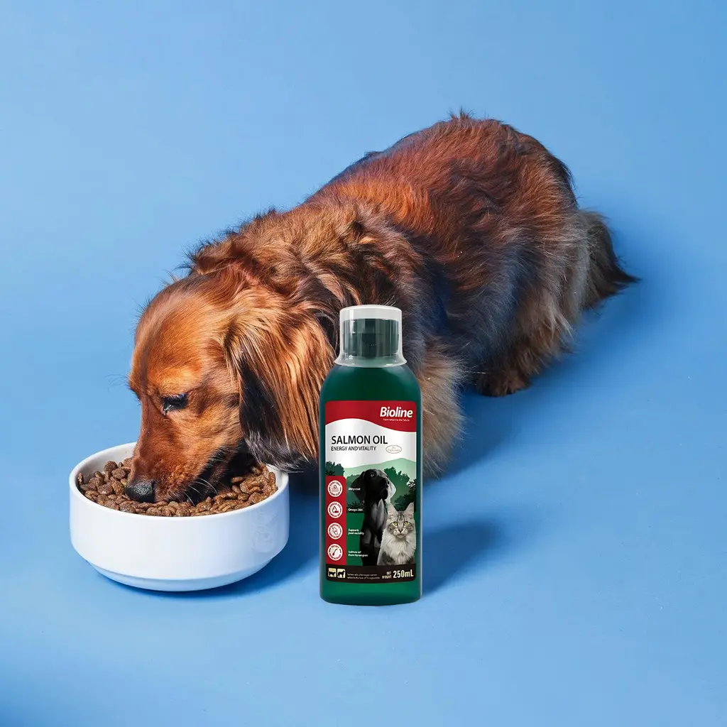Bioline Norwegian Salmon Oil 250ml (2).webp
