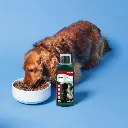 Bioline Norwegian Salmon Oil 250ml (2).webp