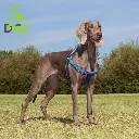 91djmOZiY8L._AC_SX679_.webp