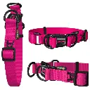 [DCS005-04L] DOCO® DD Collar 2.5 x 45-68cm(L) Pink.webp
