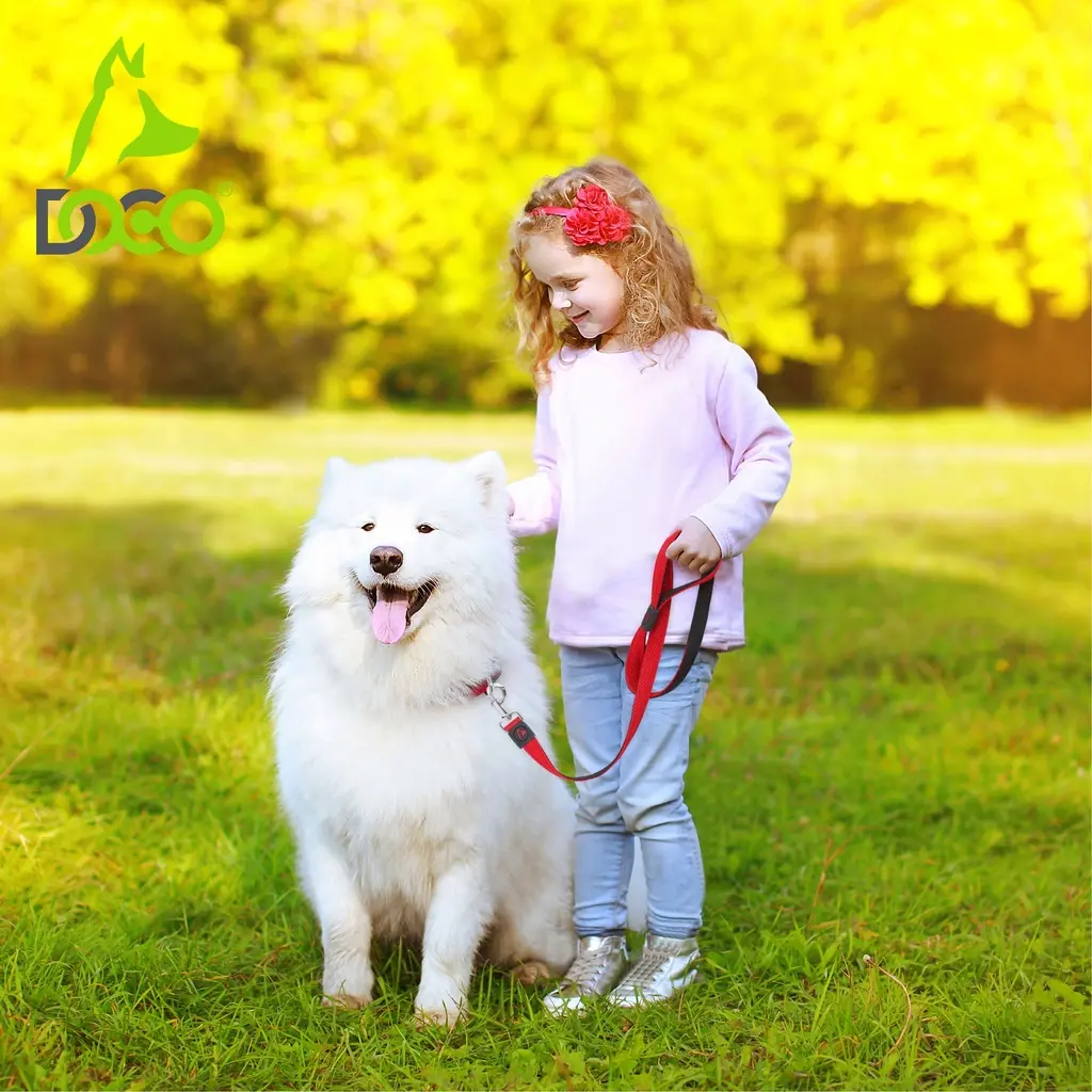 DOCO® JELLY BEAN LEASH 5ft (DCA1150)[Size - S, Color - Safety Orange] (1).webp