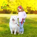 DOCO® JELLY BEAN LEASH 5ft (DCA1150)[Size - S, Color - Safety Orange] (1).webp