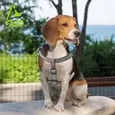 DOCO® LOCO Step-In Harness (DCL202)[Texture - Hologram, Size - M].webp