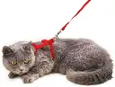 6152F4QA8RL._AC_SX679_.webp
