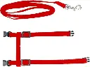 6194zgkP6bL._AC_SX679_.webp