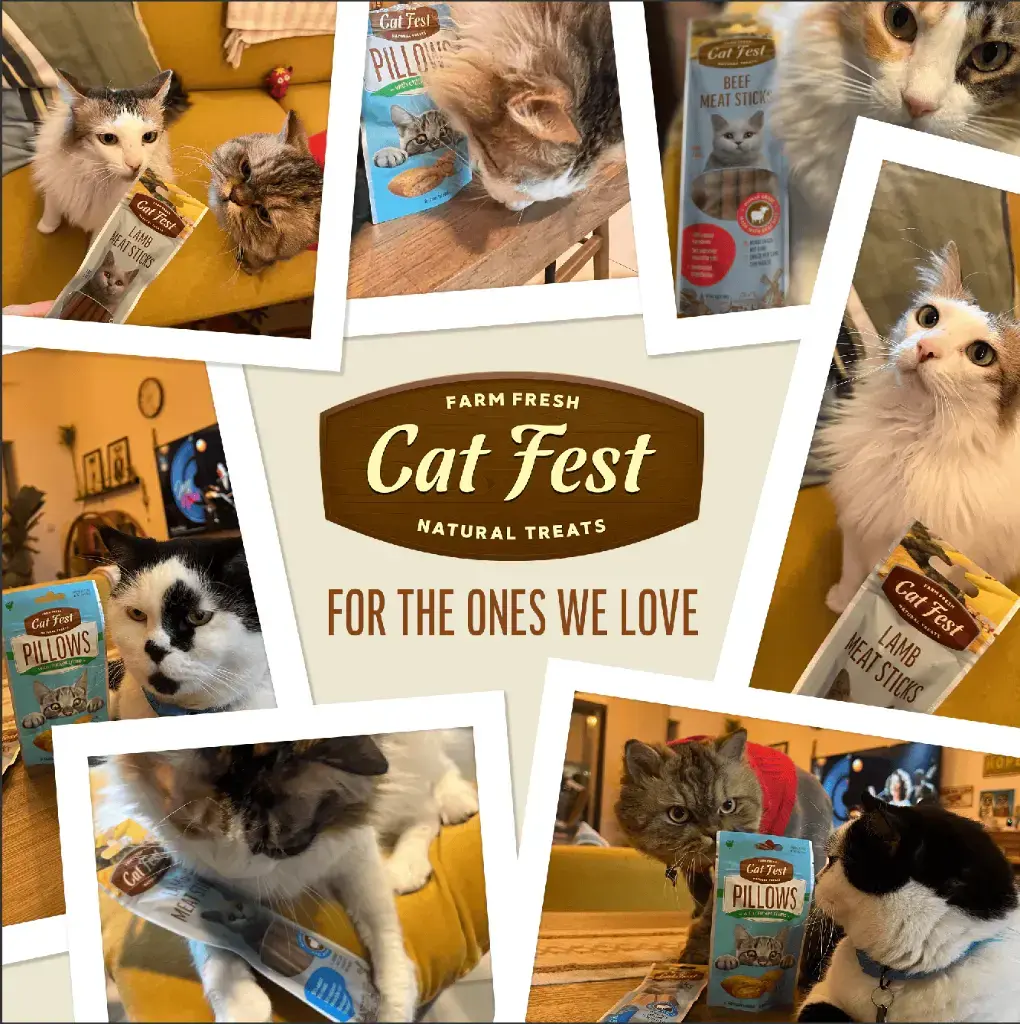 Cat Fest Pillows With Chicken Cream[Weight - 30g] (1).webp