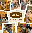 Cat Fest Pillows With Chicken Cream[Weight - 30g] (1).webp