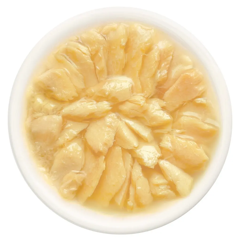 Cat Fest Salmon Fillets In Tender Jelly For Cats 70g (1).webp