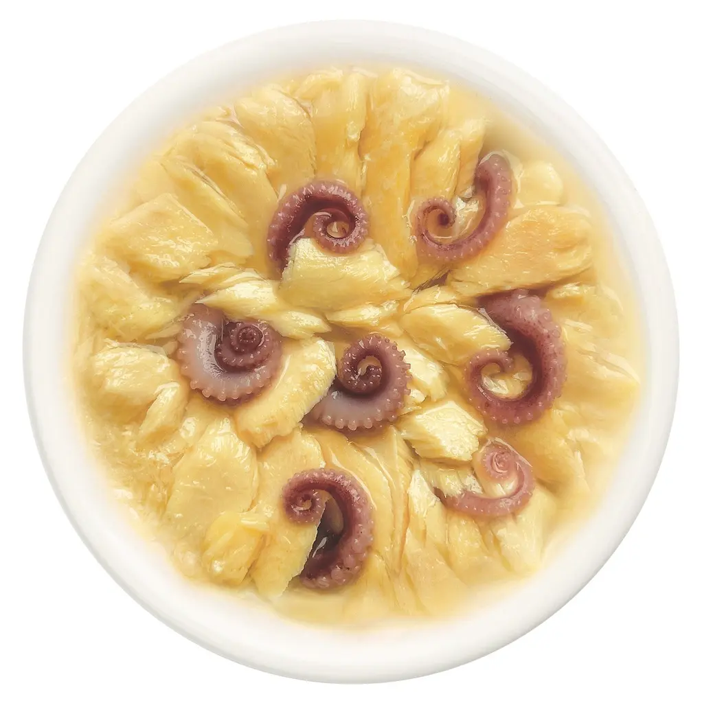 Cat Fest Salmon With Octopus In Tender Jelly For Cats 70g (1).webp
