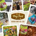 Dog Fest Beef Meat Sticks For Adult Dogs - 45g (1.59oz)[Weight - 45g] (4).webp