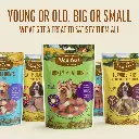 Dog Fest Beef Meat Sticks For Adult Dogs - 45g (1.59oz)[Weight - 45g] (2).webp