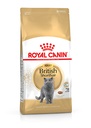Royal Canin Feline Breed Nutrition British Shorthair Adult 4 KG - Dry Cat Food