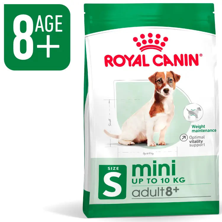 Royal Canin Mini Adult 8+ Dry Dog Food 2KG - Vitality & Fussy Eaters