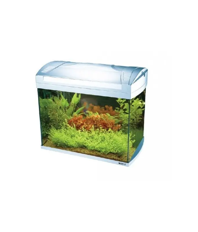 [AQBYZJ-401A] Boyu Aquarium 535Lx323Wx420Hmm-[ZJ-401A]-48L – 535L
