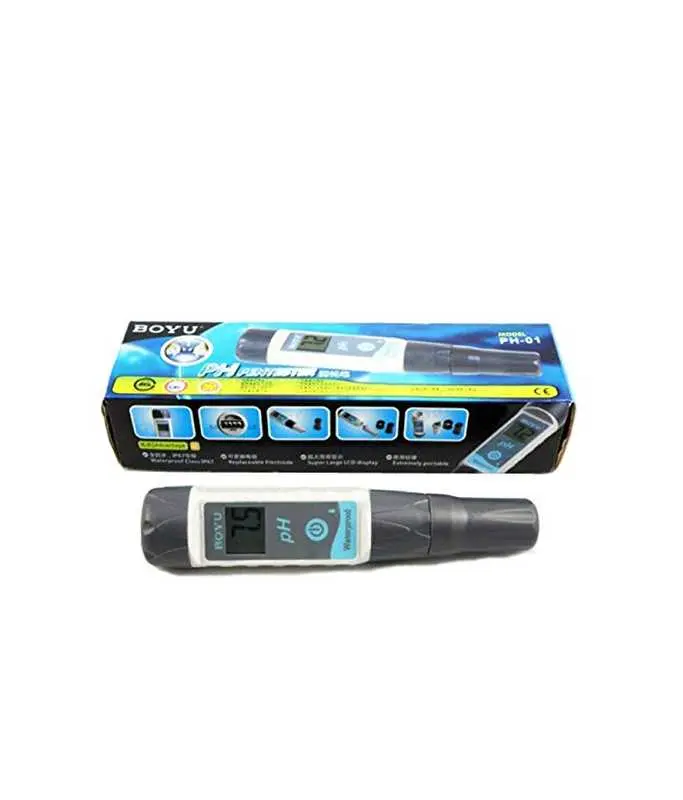 BoyuPHPentesterPH-01