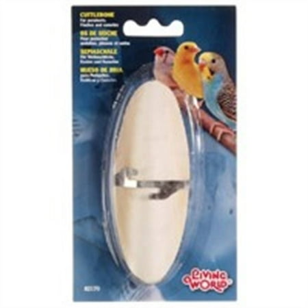 [HA82170] Cuttlebone White - Small