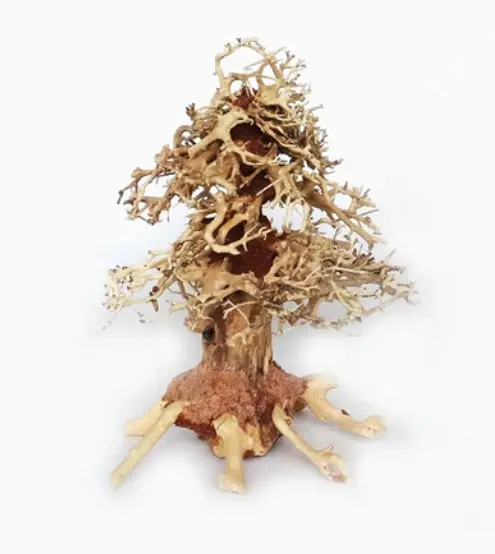 Chicos Natural Bonsai Aquarium Tree (DR08-18O)[Dimension - 20x25x15cm] 