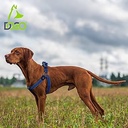DOCO® Athletica Air Step-In Harness (DCA202)Sizes: M, Color: Safety Orange