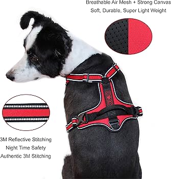 [888886028024] Doco Vertex Front Range Harness - 3m ReflectiveColor: Orange, Sizes: S