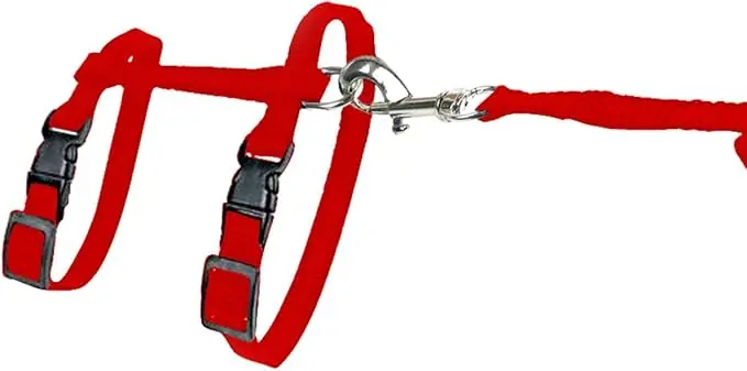 [LR11198] Duvo Kitten Walking Set Uni Mixed Colors 15 - 25cm / 8mm - 125cm Dimension: 15-25cm x 125cm x 8mm