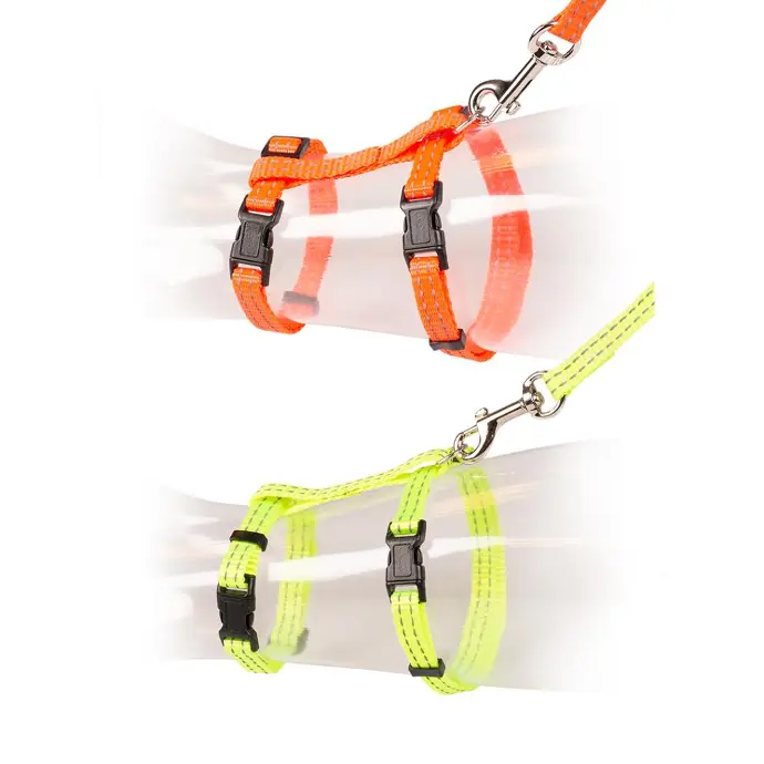 [LR11206] Duvo+ Big Cat Reflective Walking Harness & Leash Set - 1 pc