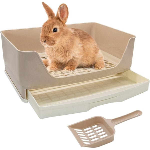 Duvo+ Rubber Toothbrush Animals 4x4x11cm Mixed Colors