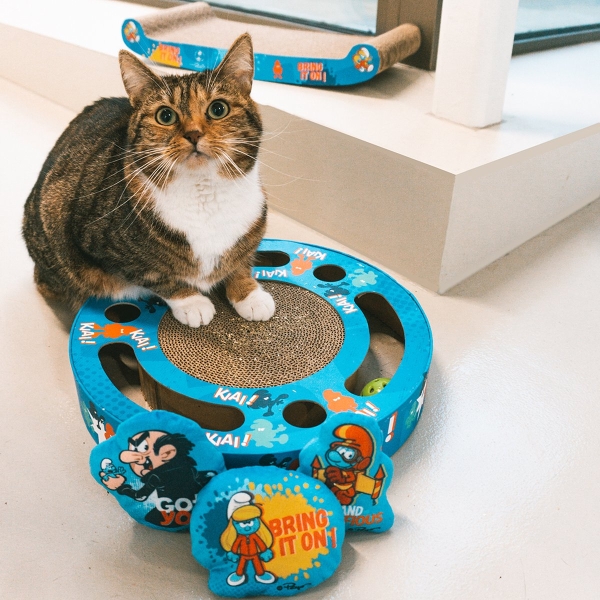 Duvo+ Smurfette Scratcher & Toy 33x33x5,5cm 