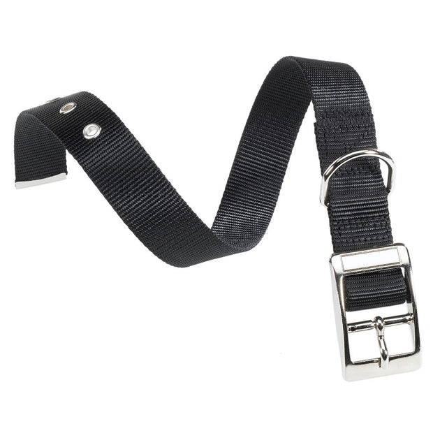 Ferplast Club CF Collar[Color - Maroon, Dimension - 37-45cm x 25mm]