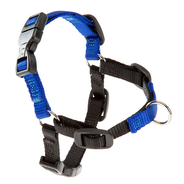 Ferplast Coach P S-M HarnessColor: Blue, Sizes: L/XL