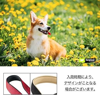 [75239022] Ferplast Daytona CSS Semi - Pull - Out Collar With Soft PaddingColor: Red, Dimension: 50 cm x 20mm